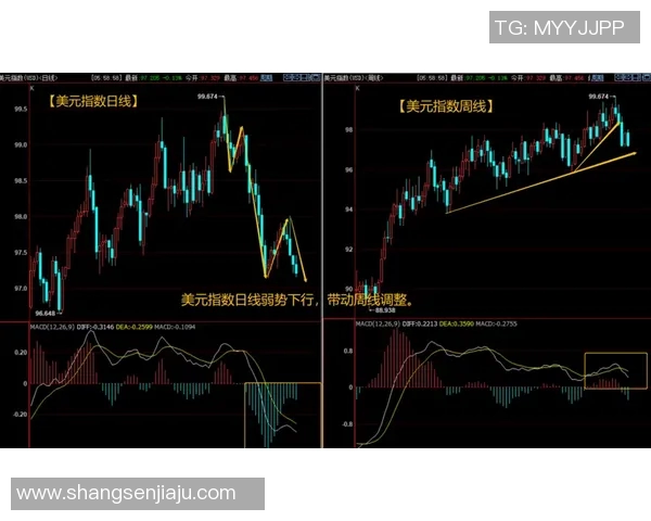 重庆篮球队与上海篮球队赛后技术分析与战术复盘探讨