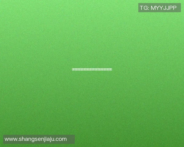 深圳排球队荣登排球比赛经验排行榜首位引领全国水平提升