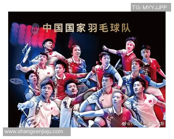 赛后分析深圳羽毛球队与成都羽毛球队技术对比与战术探讨