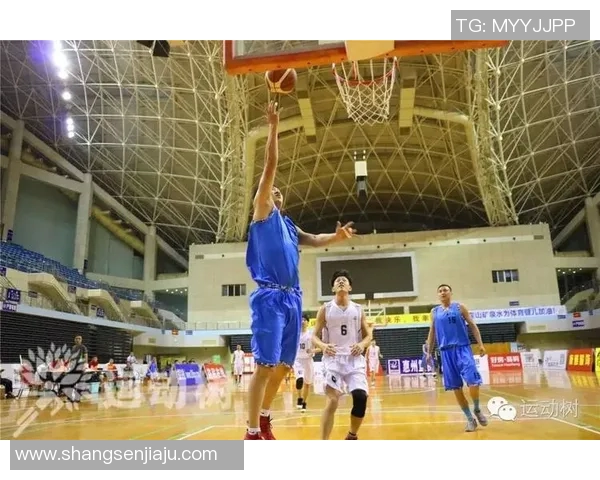 对话张强：回顾排球生涯的辉煌与挑战分享