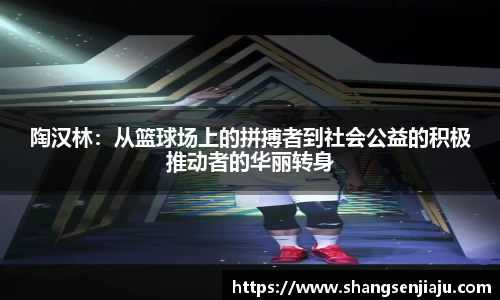 陶汉林：从篮球场上的拼搏者到社会公益的积极推动者的华丽转身