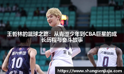 王哲林的篮球之路：从青涩少年到CBA巨星的成长历程与奋斗故事